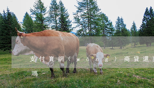 支付寶網(wǎng)商貸還款有電子公章嗎-