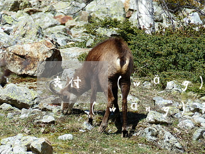 支付寶網(wǎng)商銀行起訴么-支付寶網(wǎng)商銀行起訴么