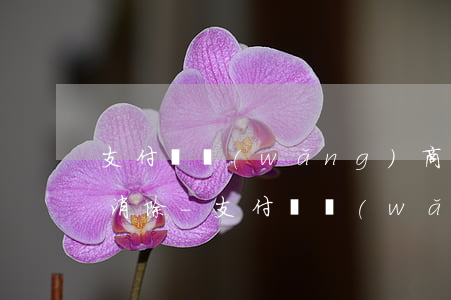 支付寶網(wǎng)商銀行逾期多久可以消除-支付寶網(wǎng)商銀行逾期多久可以消除記錄