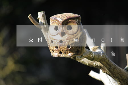 支付寶網(wǎng)商銀行逾期多久(支付寶網(wǎng)商銀行逾期6個(gè)月會(huì)被如何催收?)