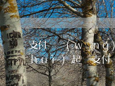 支付寶網(wǎng)商銀行逾期多久會(huì)起訴(支付寶花唄網(wǎng)商貸逾期多久會(huì)被起訴)