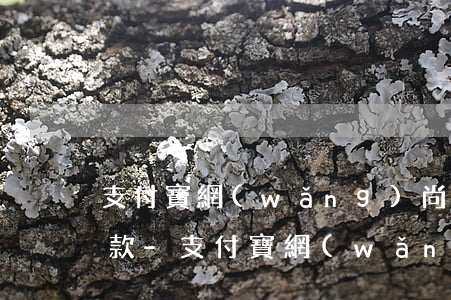 支付寶網(wǎng)尚貸如何申請延期還款-支付寶網(wǎng)尚貸如何申請延期還款業(yè)務