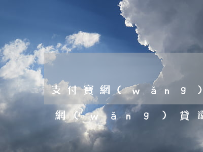支付寶網(wǎng)貸不還債怎么辦(還唄網(wǎng)貸還不上怎么辦)
