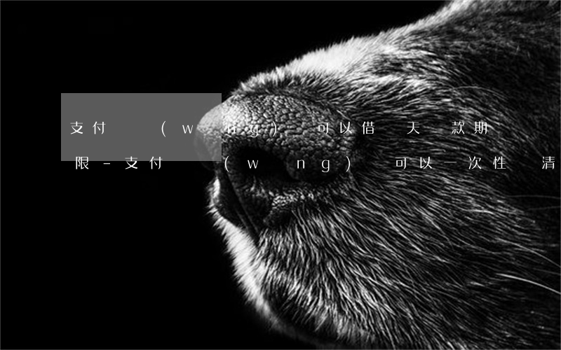 支付寶網(wǎng)貸可以借幾天還款期限-支付寶網(wǎng)貸可以一次性還清嗎