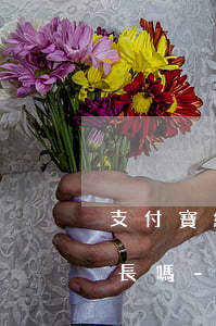 支付寶網(wǎng)貸可以申請還款期加長嗎-支付寶網(wǎng)貸可以申請還款期加長嗎是真的嗎