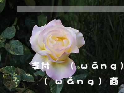支付寶網(wǎng)貸商逾期圖片(支付寶網(wǎng)商貸逾期多久,才算嚴(yán)重)