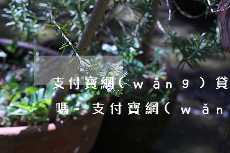 支付寶網(wǎng)貸拖欠幾天還款可以嗎-支付寶網(wǎng)貸拖欠幾天還款可以嗎知乎