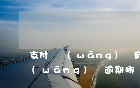 支付寶網(wǎng)貸有逾期(支付寶跟網(wǎng)貸逾期哪個比較嚴(yán)重)