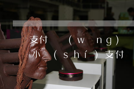 支付寶網(wǎng)貸逾期1個(gè)小時(shí)(支付寶逾期兩小時(shí)有影響嗎)