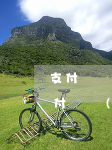 支付寶網(wǎng)貸逾期70000(支付寶網(wǎng)貸逾期了怎么辦)