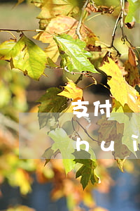 支付寶網(wǎng)貸逾期不還違約會(huì)越來(lái)越高嗎（支付寶認(rèn)證網(wǎng)貸逾期）