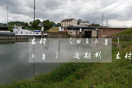 支付寶網(wǎng)貸逾期圖片(網(wǎng)貸逾期影響支付寶,但是支付寶不顯示)