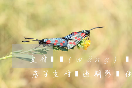 支付寶網(wǎng)貸逾期對(duì)房子(支付寶逾期影響住房貸款嗎)