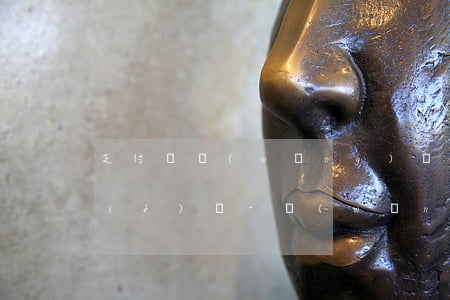 支付寶網(wǎng)貸逾期會被凍結(jié)嗎-網(wǎng)貸逾期了支付寶被凍結(jié)