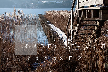 支付寶網(wǎng)貸逾期查詢(支付寶怎么查看逾期貸款)