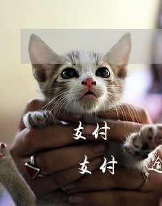 支付寶網(wǎng)貸逾期沒還上的后果(支付寶逾期還款會咋樣)