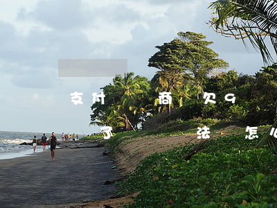 支付寶網商貸欠9萬還不上(支付寶網商貸欠錢了暫時無法還怎么辦)