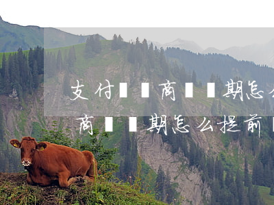 支付寶網商貸當期怎么提前還款-支付寶網商貸當期怎么提前還款啊