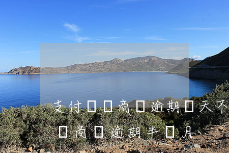 支付寶網商貸逾期幾天不上征信(支付寶上的網商貸逾期半個月)