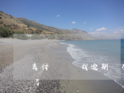 支付寶總說我逾期(沒有逾期支付寶說我逾期了)