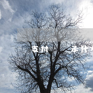 支付寶繼承什么意思(繼承是什么意思?)