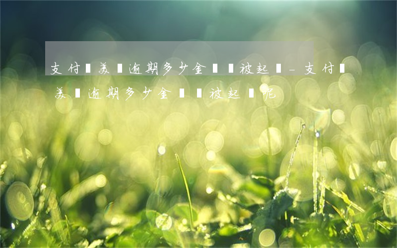 支付寶美團逾期多少金額會被起訴-支付寶美團逾期多少金額會被起訴呢