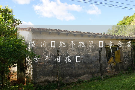 支付寶能不能只還本金(支付寶能不能只還本金不用花錢)