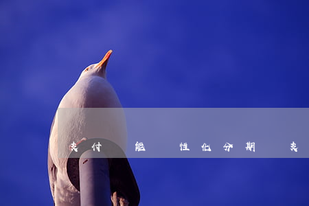 支付寶能個性化分期嗎(支付寶能個性化分期嗎)