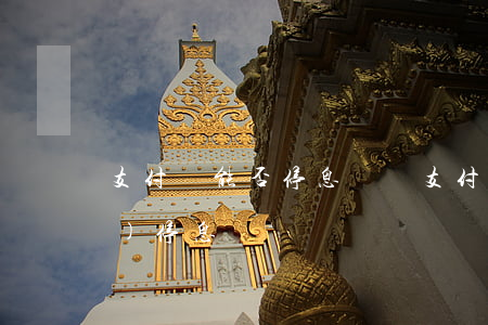 支付寶能否停息掛賬(支付寶申請(qǐng)停息)