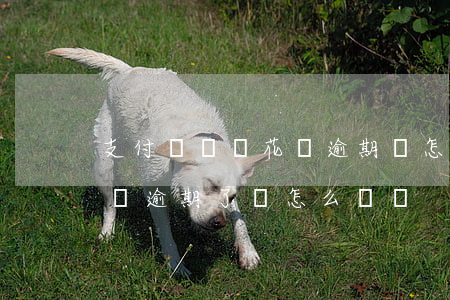 支付寶臨時花唄逾期會怎樣-支付寶花唄小額逾期了會怎么樣嗎