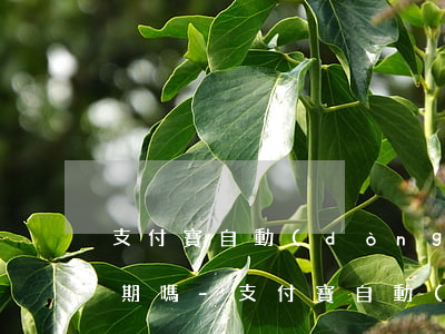 支付寶自動(dòng)還款余額不夠算逾期嗎-支付寶自動(dòng)還款余額不夠算逾期嗎怎么辦
