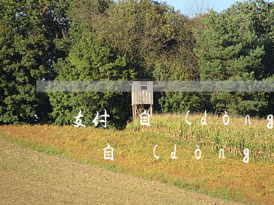 支付寶自動(dòng)還款算逾期嗎(支付寶自動(dòng)還款算逾期嗎)