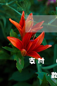 支付寶自動還款余額不夠算逾期嗎(支付寶自動還款余額不夠算逾期嗎)