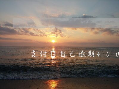 支付寶自己逾期4000多