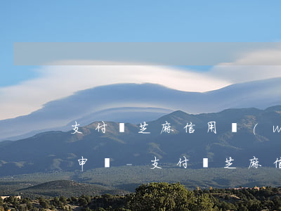 支付寶芝麻信用網(wǎng)貸逾期如何申訴-支付寶芝麻信用網(wǎng)貸逾期如何申訴成功