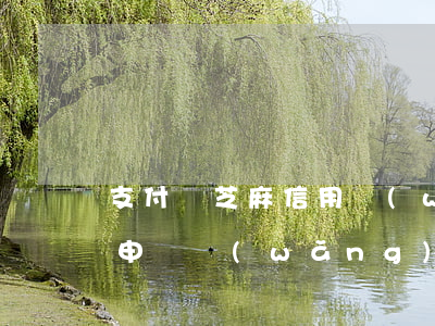 支付寶芝麻信用網(wǎng)貸逾期如何申訴(網(wǎng)貸逾期上芝麻負(fù)面)