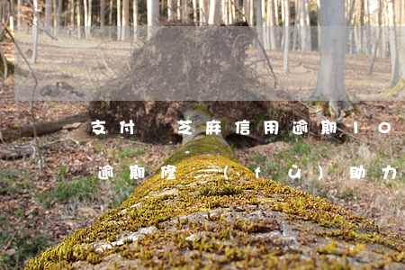 支付寶芝麻信用逾期100(支付寶芝麻信用逾期修復(fù)助力成功截圖)