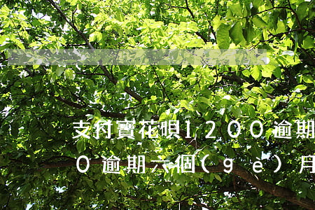 支付寶花唄1200逾期(支付寶花唄1200逾期六個(gè)月利息多錢)