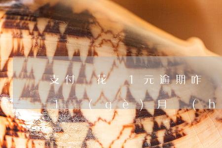 支付寶花唄1元逾期咋辦(花唄1500逾期1個(gè)月會(huì)產(chǎn)生多少費(fèi)用)