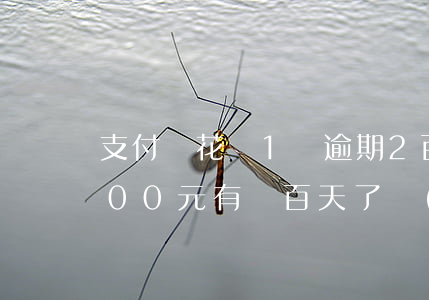 支付寶花唄1萬逾期2百多天(花唄逾期5000元有兩百天了現(xiàn)在要還多少)