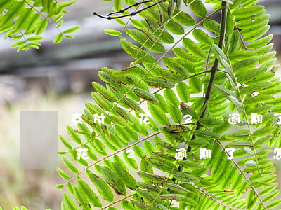 支付寶花唄2萬逾期了會怎么樣嗎-支付寶花唄2萬逾期了會怎么樣嗎知乎