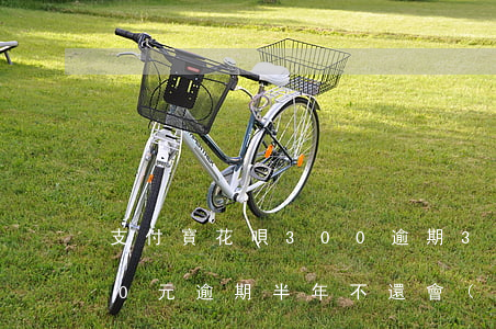 支付寶花唄300逾期3年-花唄欠款300元逾期半年不還會(huì)怎樣?