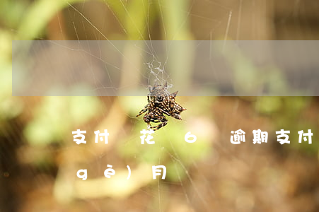 支付寶花唄6萬逾期(支付寶花唄逾期6個(gè)月)