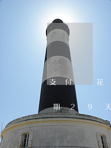 支付寶花唄9號(hào)還款逾期(花唄逾期29天還款就再也不能使用了嗎)