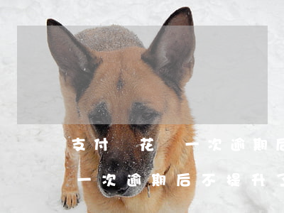 支付寶花唄一次逾期后不提升了(支付寶花唄一次逾期后不提升了)