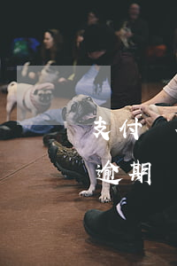支付寶花唄不逾期會怎么樣-支付寶花唄不逾期會怎么樣呢