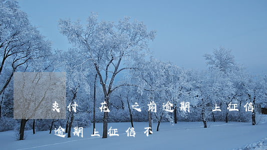 支付寶花唄之前逾期會上征信嗎(支付寶花唄逾期上征信不)