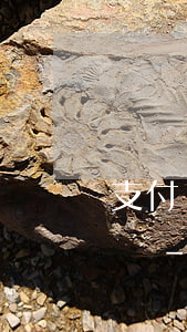 支付寶花唄五千逾期三天會(huì)怎么樣-支付寶花唄五千逾期三天會(huì)怎么樣嗎