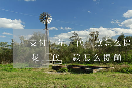 支付寶花唄代還款怎么提前還全款-支付寶花唄代還款怎么提前還全款呢
