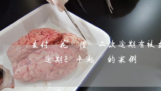 支付寶花唄借唄二次逾期(有被支付寶花唄借唄逾期2年起訴的案例嗎?)